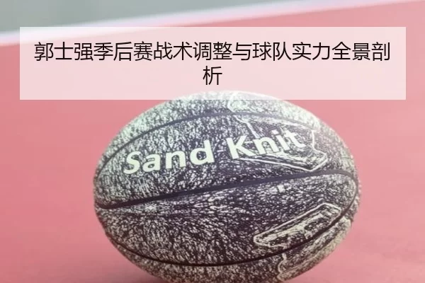 郭士强季后赛战术调整与球队实力全景剖析