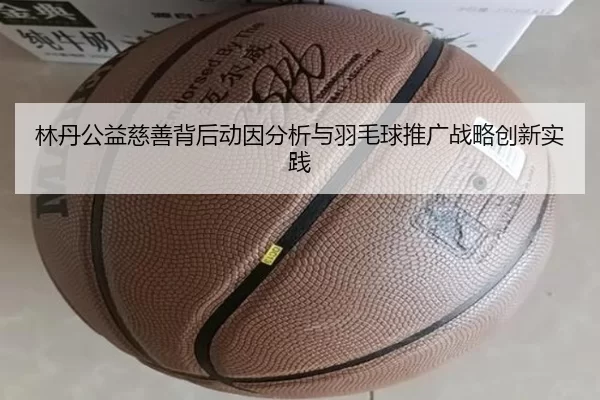 林丹公益慈善背后动因分析与羽毛球推广战略创新实践