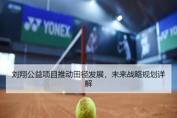 刘翔公益项目推动田径发展，未来战略规划详解